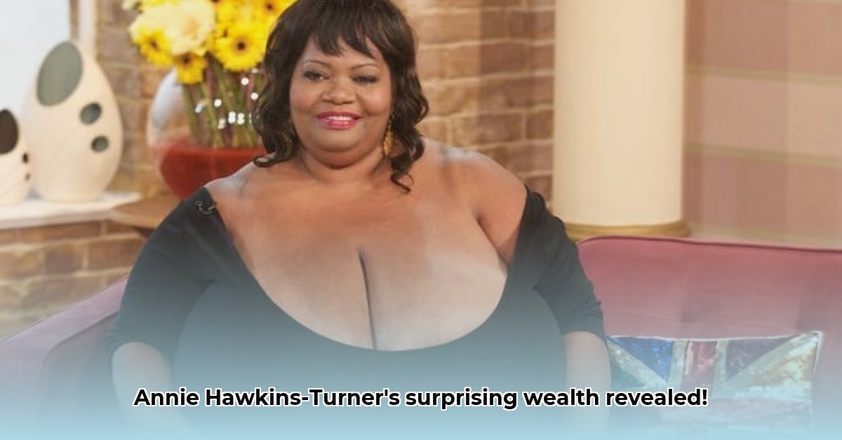 annie-hawkins-turner-net-worth
